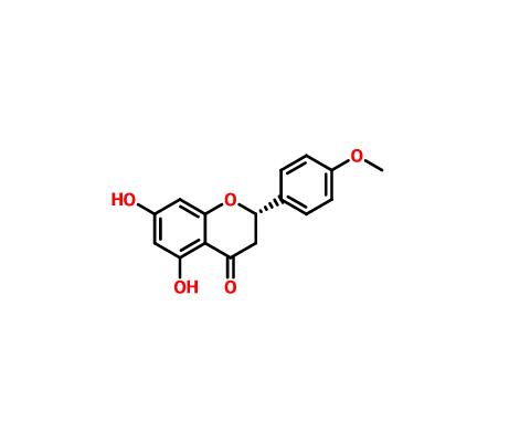 異櫻花亭|480-43-3