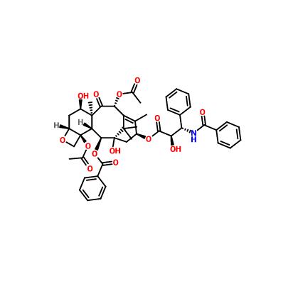 7-表紫杉醇|105454-04-4