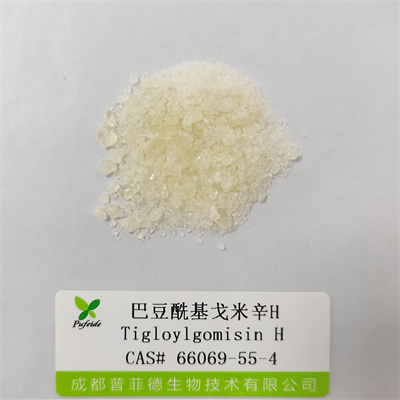 巴豆?；昝仔罤|66069-55-4