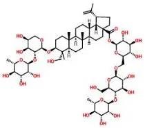 普菲德專題產(chǎn)品推薦-白頭翁系列(圖4)