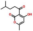 普菲德專題產(chǎn)品推薦-廣藿香系列(圖2)