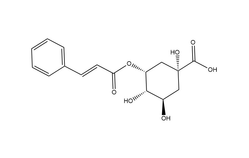 5-O-肉桂酰奎寧酸|6470-68-4